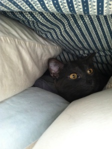 Under the covers